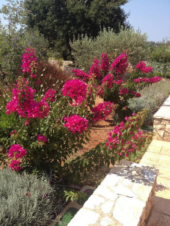 Korallis Villas Livathos  Екстериор снимка