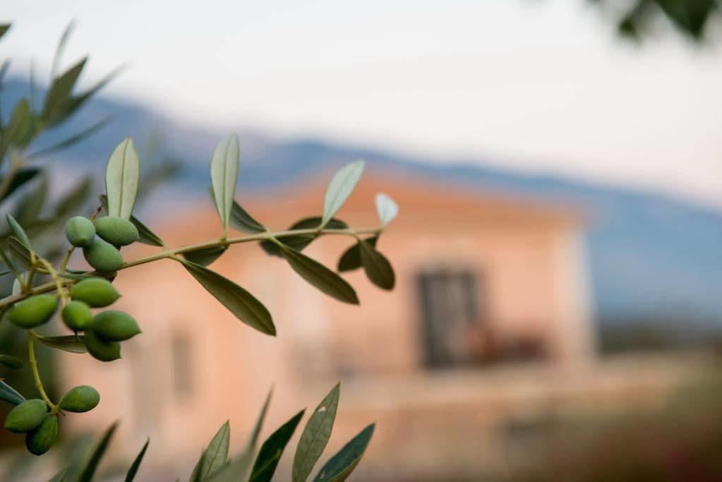 Korallis Villas Livathos  Екстериор снимка